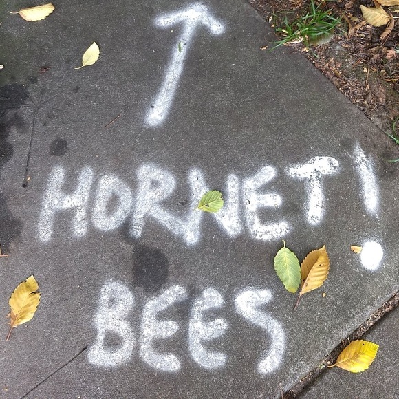 Meet your Posher, Kells - Picture 1 of 1